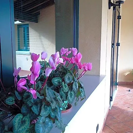 Comfortable Luxury Apartments Near The Colosseum - Rome 3*